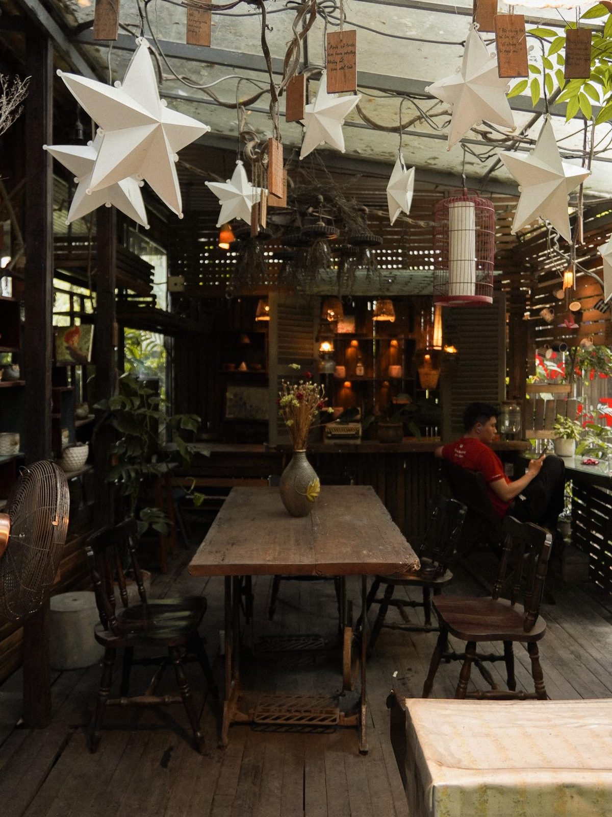Bóng đèn dây giữa các chậu cây