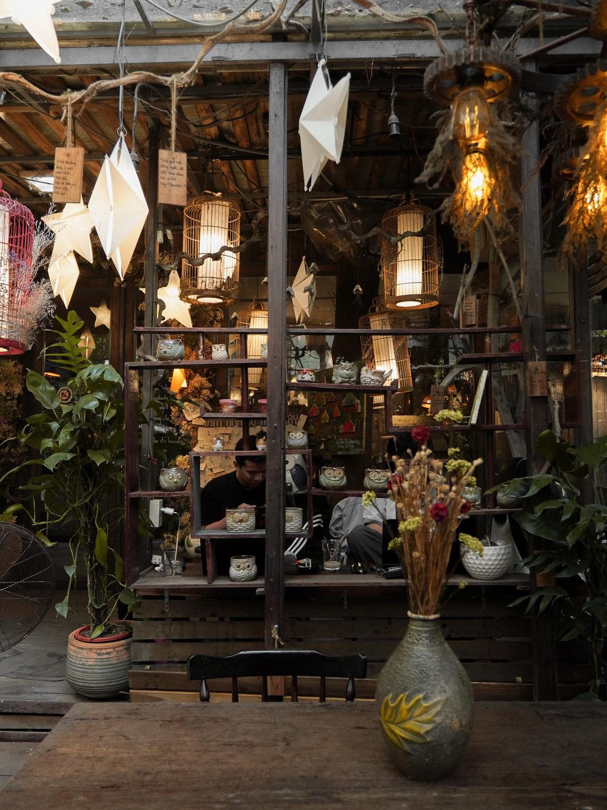 Sân trong rợp cây treo