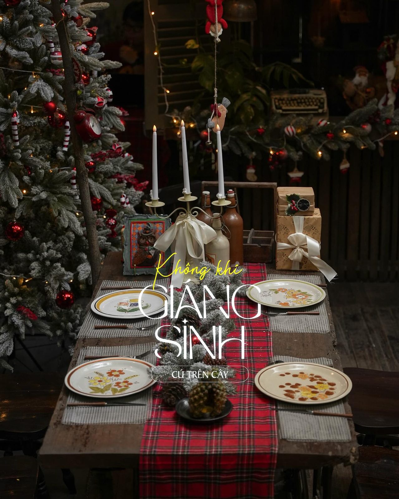 Hiên gỗ ngoài quán Cú Trên Cây