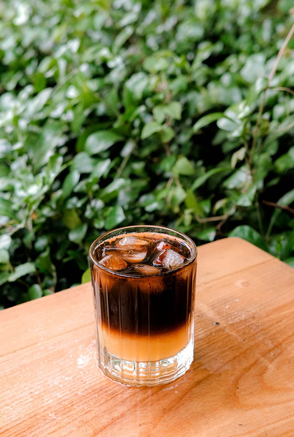 Leaf-framed drinks, behind-bar candids, educational branding