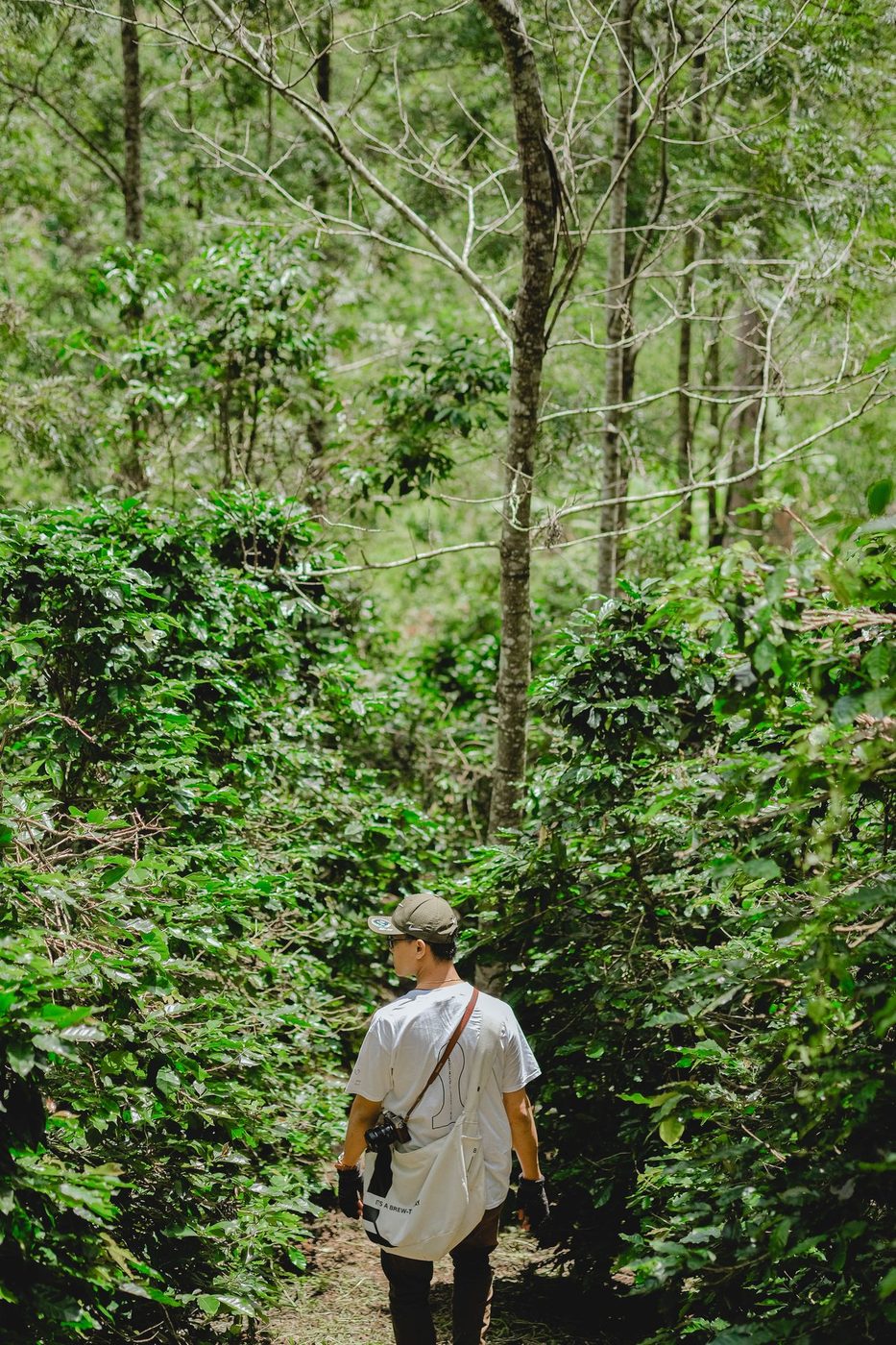 Origin/field trip; pine forest, green beans, campfire, portraits