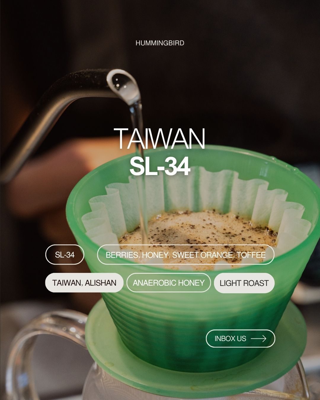 Thẻ nếm thử Taiwan SL-34 cạnh túi hạt Blue in Green