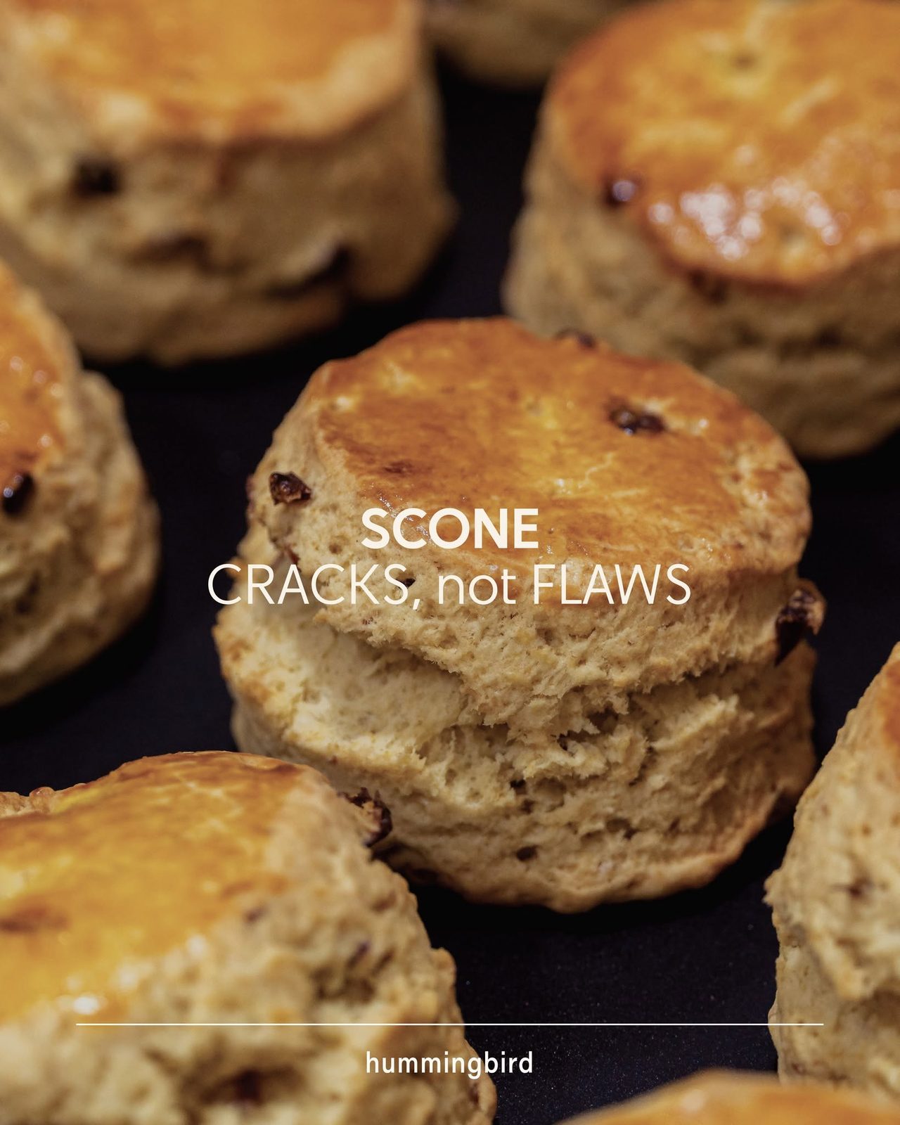 Scone với dòng chữ 'SCONE CRACKS, not FLAWS'