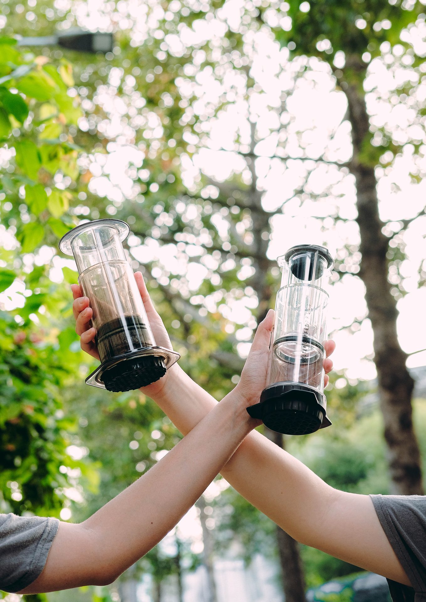Nâng ly AeroPress giữa rừng cây.