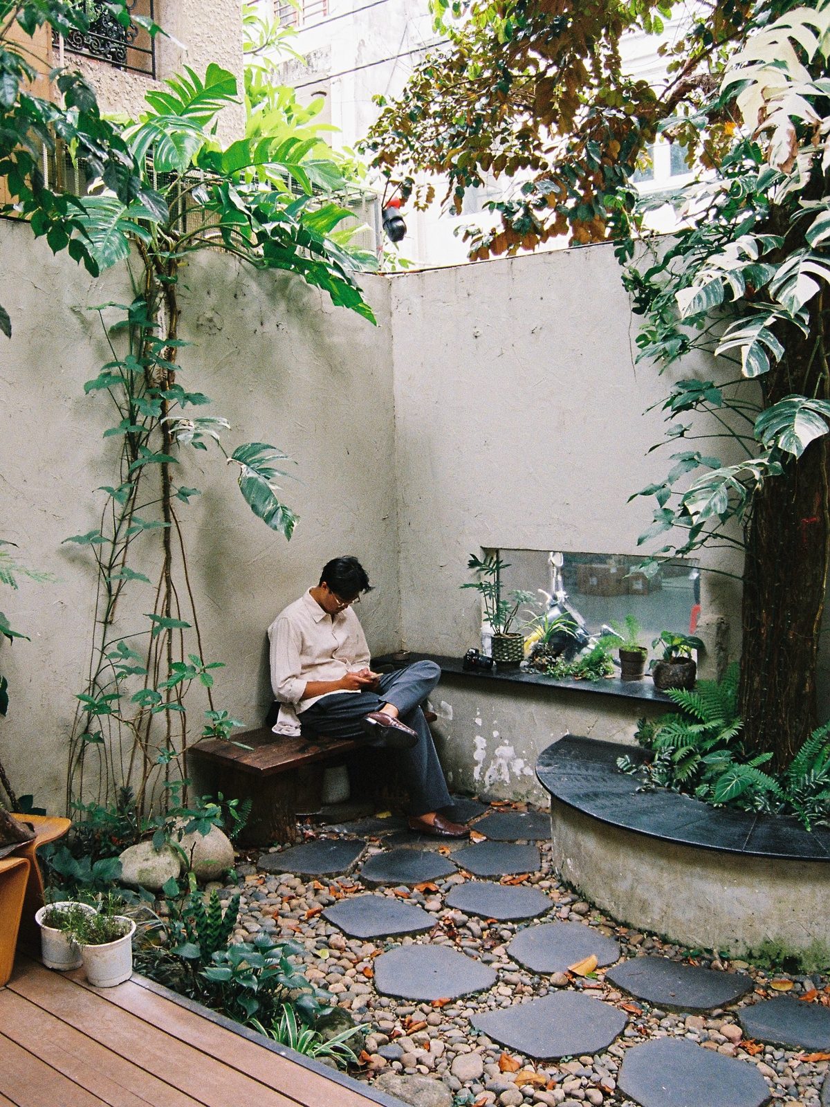 Khu vườn trong sân