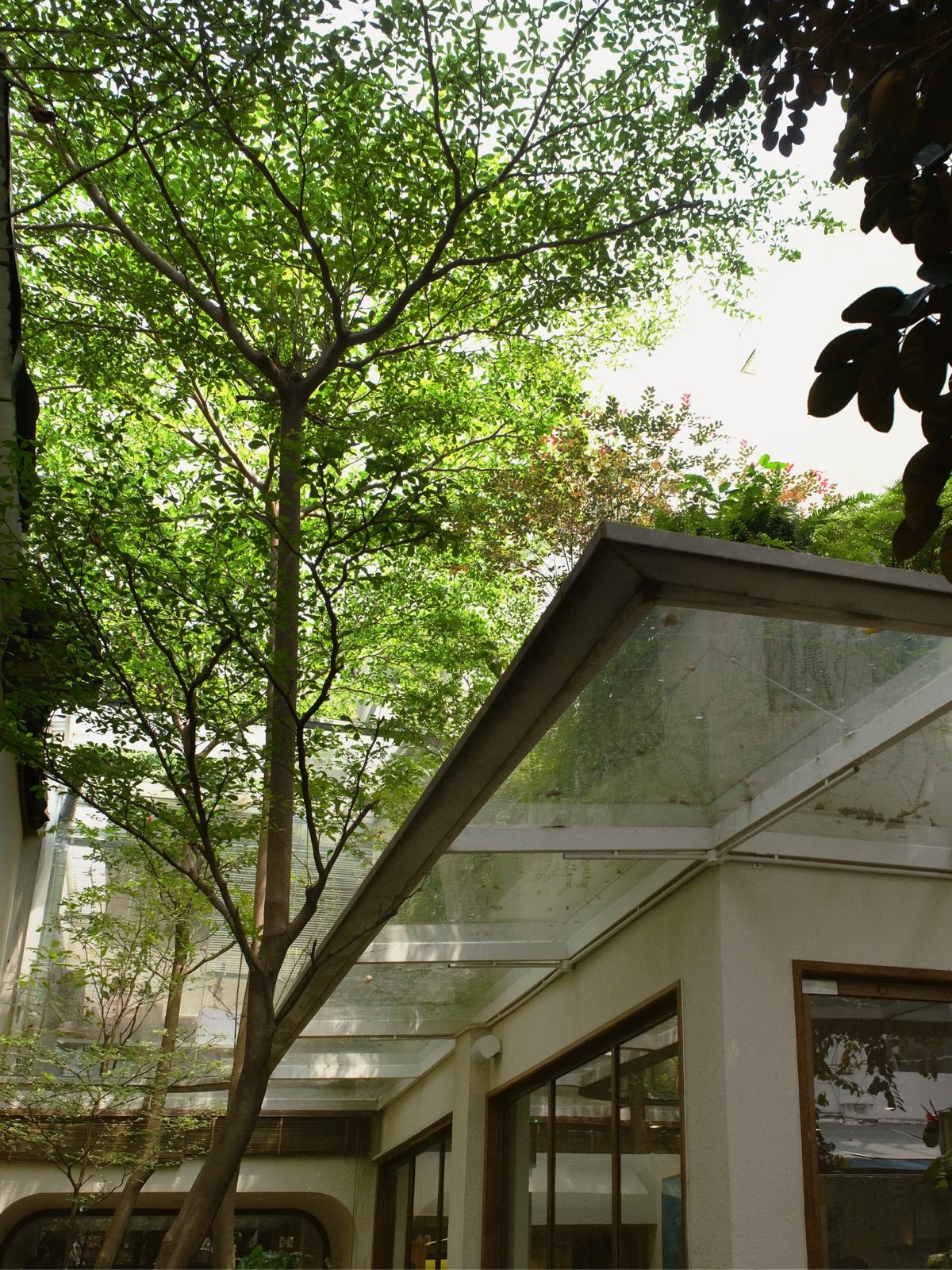 Khu vườn trong sân detail
