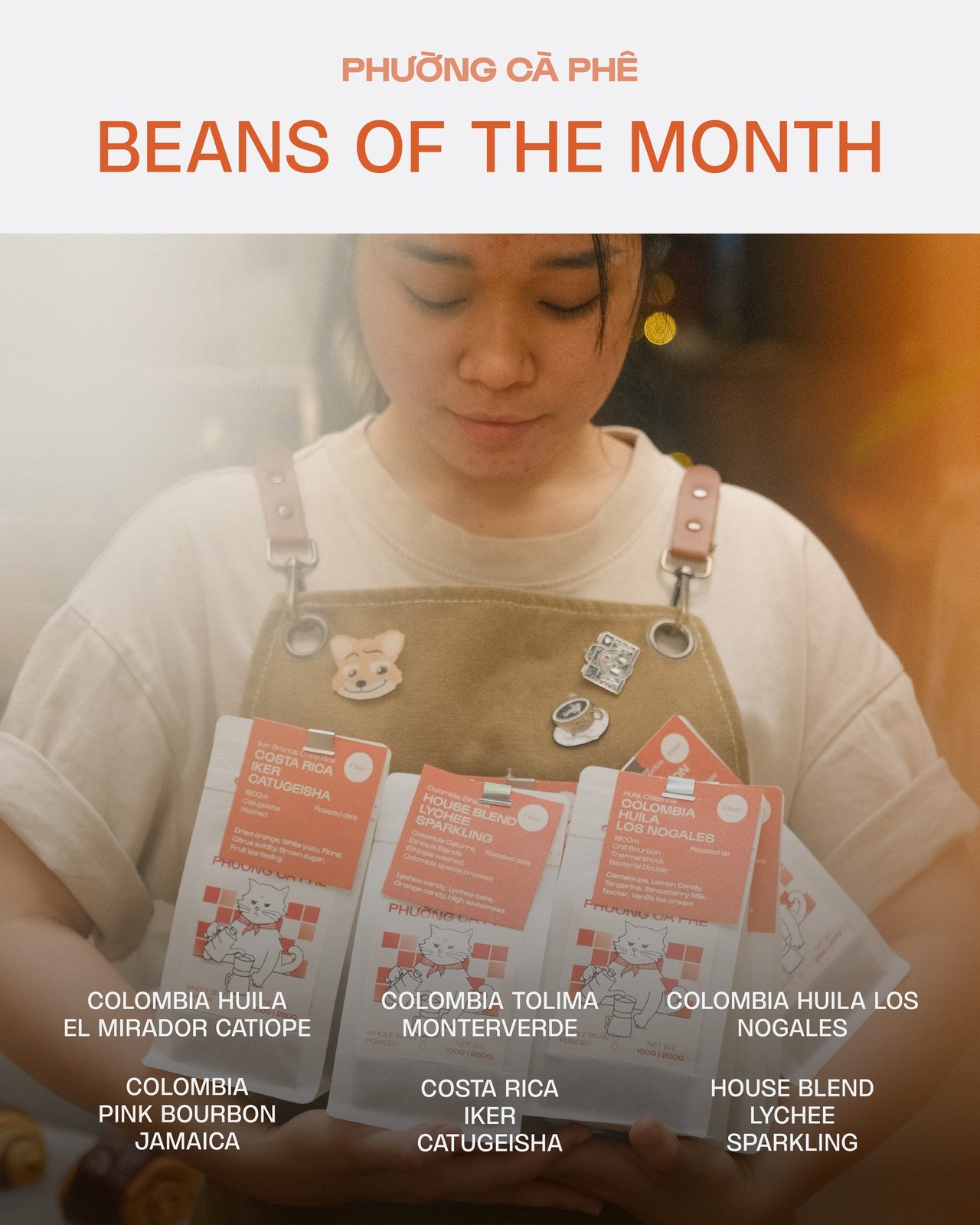 Barista Phường cầm bao hạt
