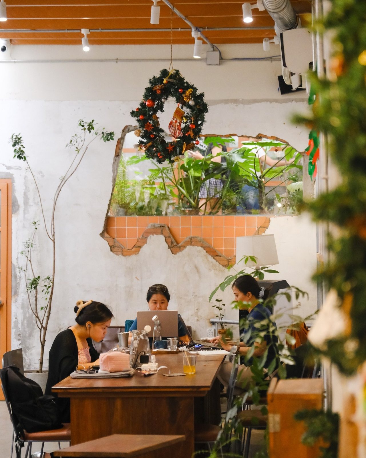 Góc ngồi ấm cúng với cây