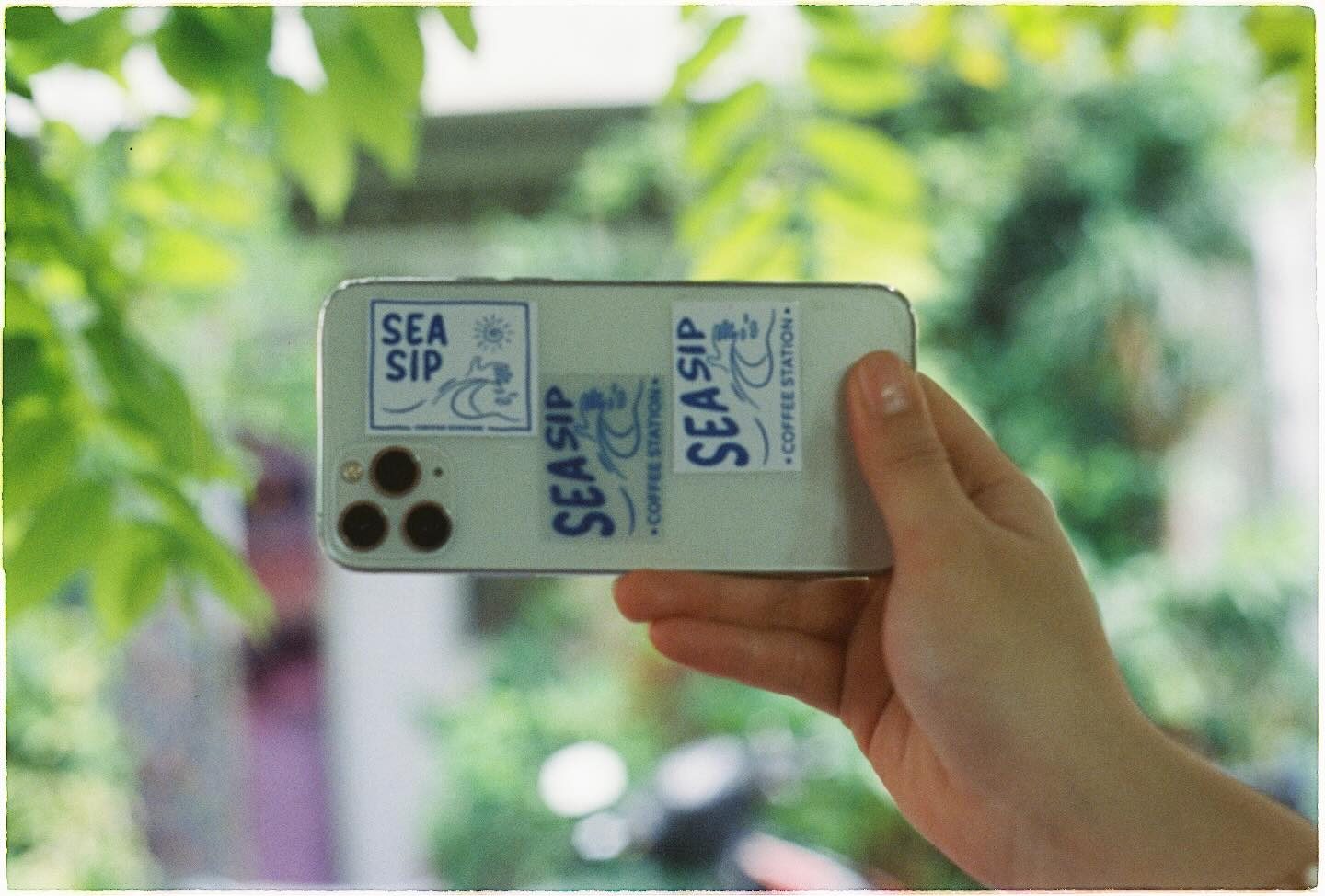 Góc chụp khác của sticker logo, nền lá cây xanh