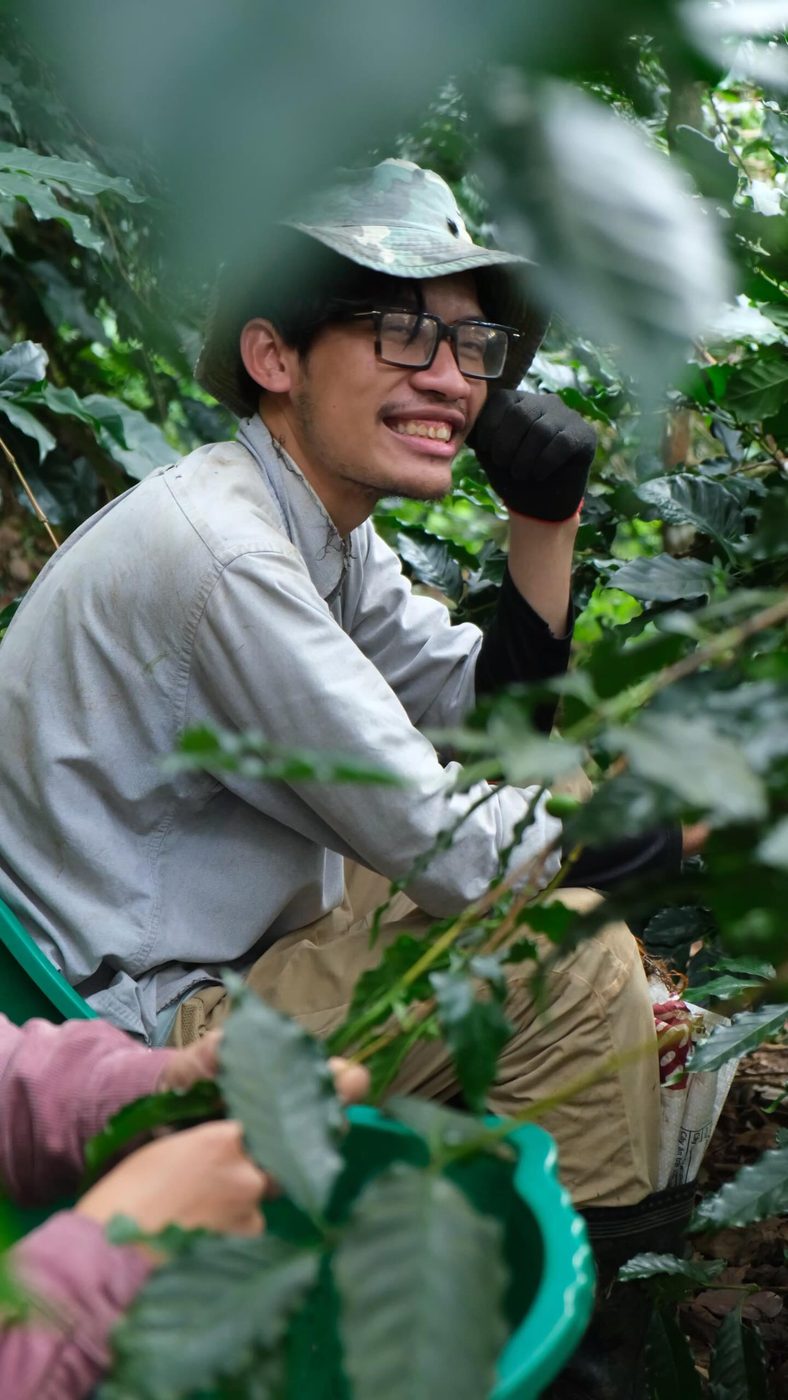 Giữa vườn cà phê ở Sơn Farm