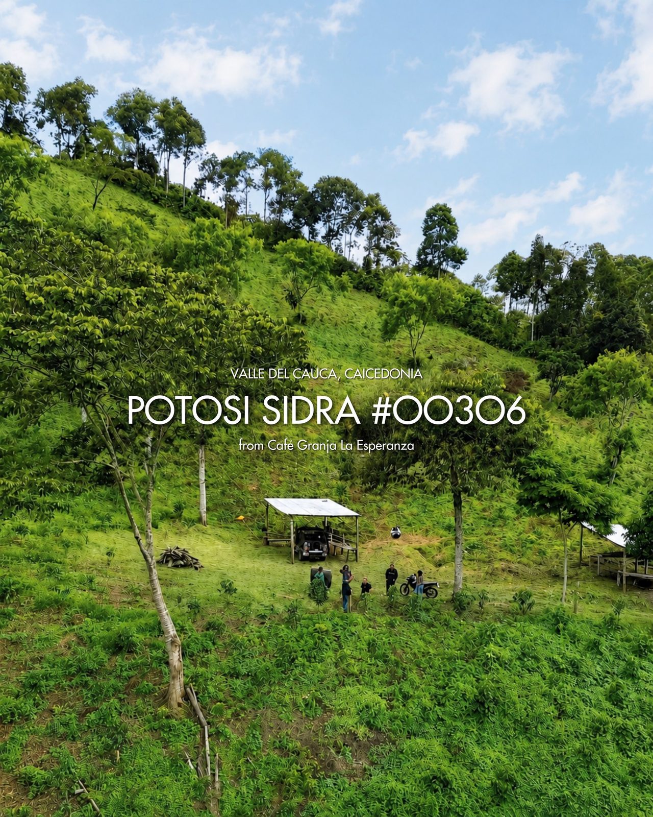 Potosi Sidra #00306 by CGLE