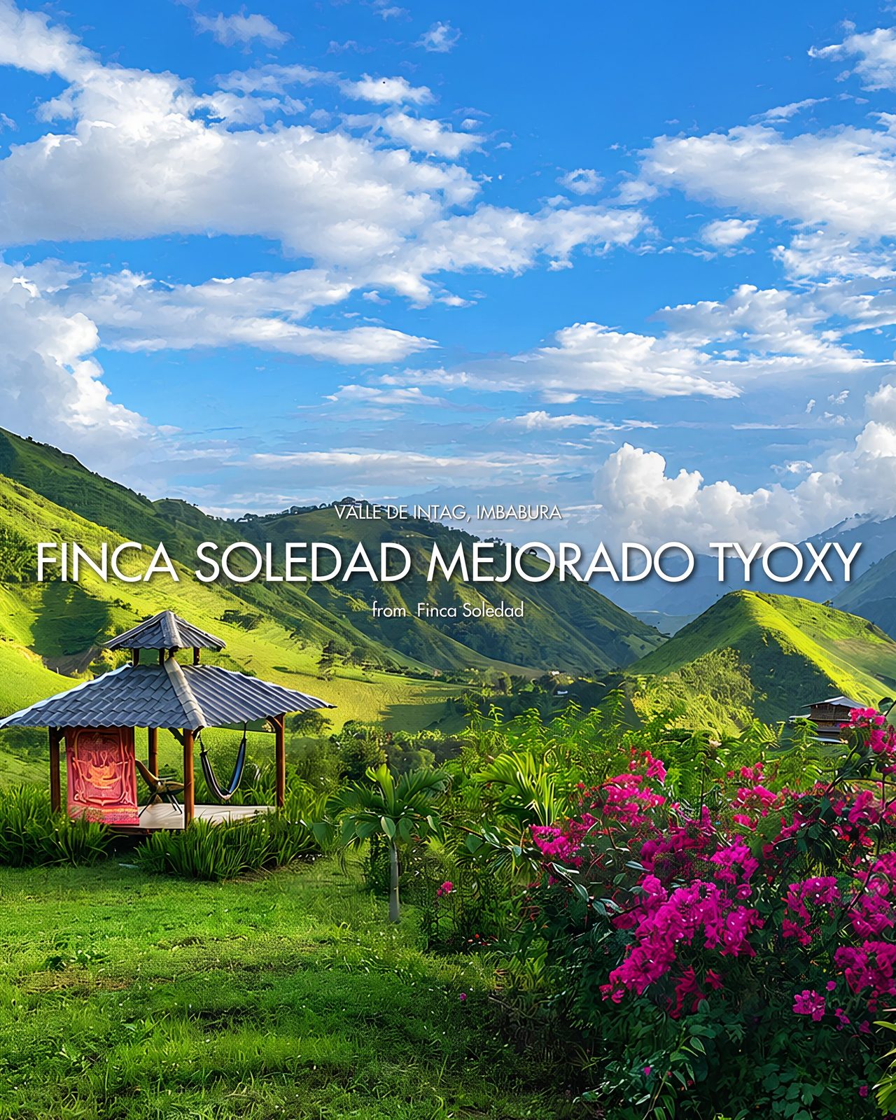 Finca Soledad Mejorado Tyoxy