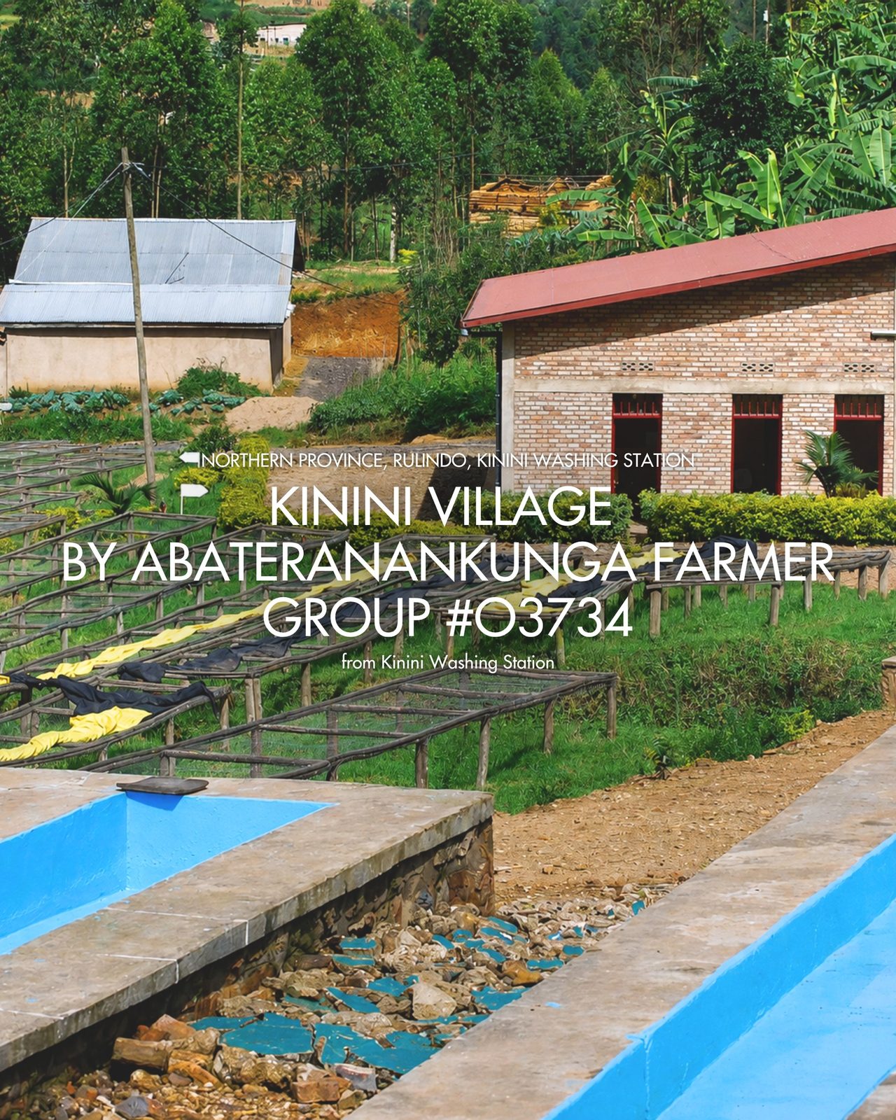 Kinini Village by Abateranankunga Farmer Group #03734