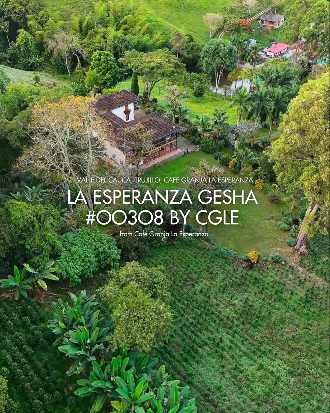 La Esperanza Gesha #00308 by CGLE